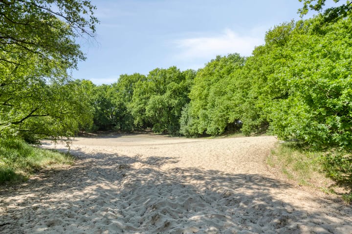 Foto 57 van Sint Josephstraat 9