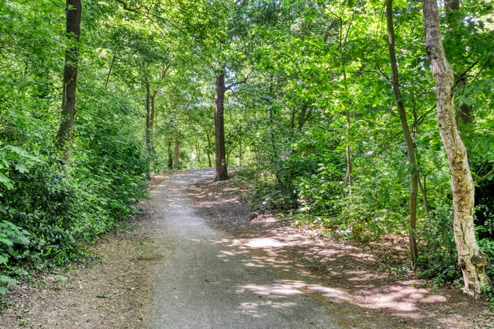 Foto 58 van Sint Josephstraat 9