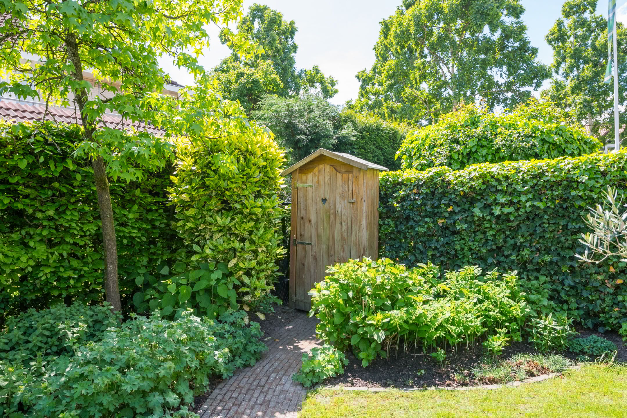 Foto 45 van Donaudal 79