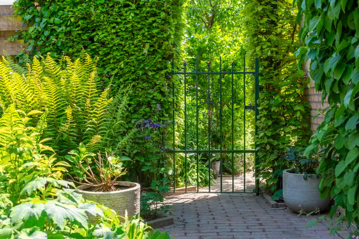 Foto 52 van Donaudal 79