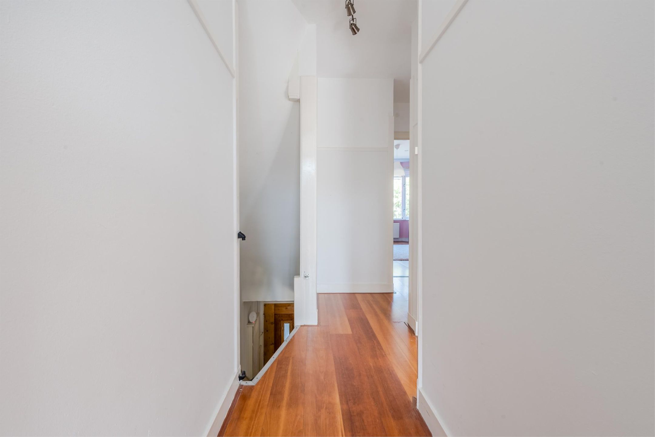 Foto 51 van Lijsterbeslaan 52