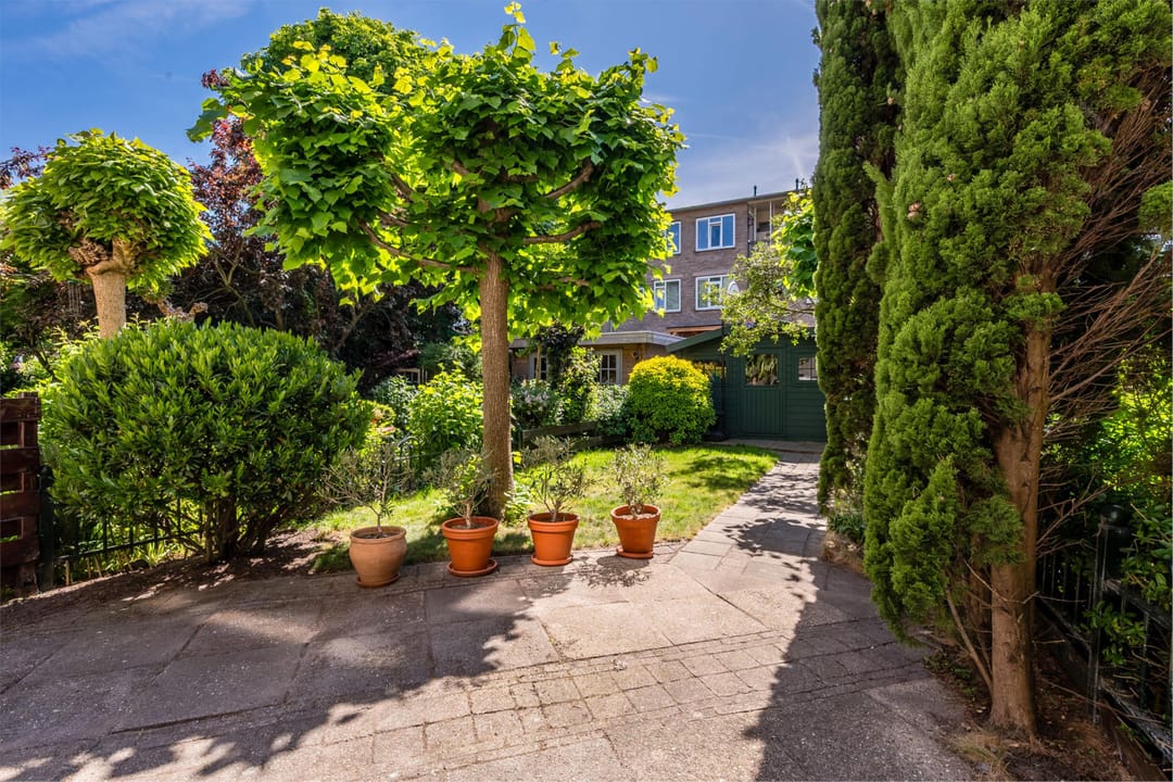 Foto 56 van Lijsterbeslaan 52