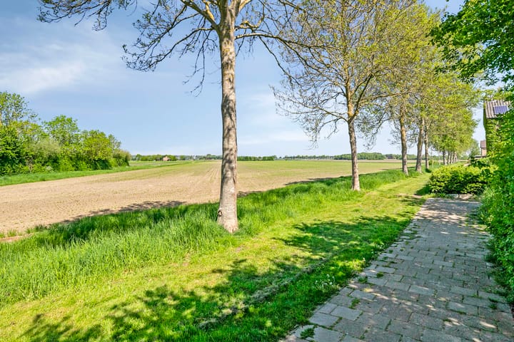 Foto 43 van Tulpstraat 18