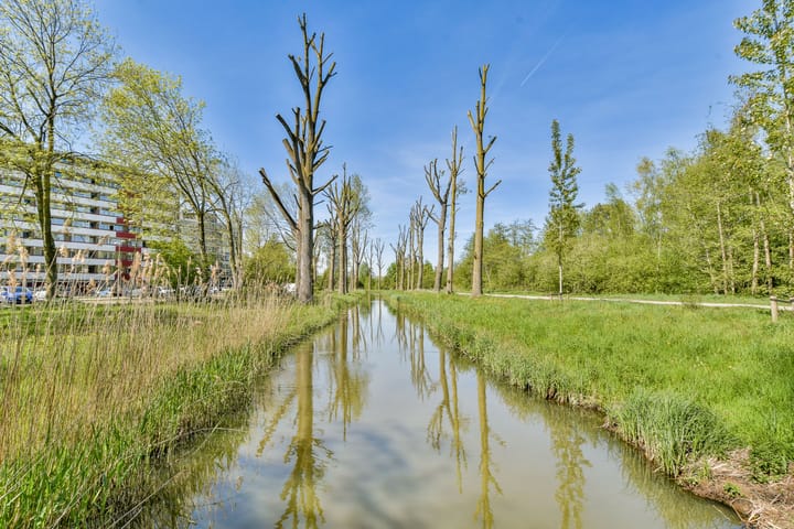 Foto 28 van Martin Luther Kinglaan 496