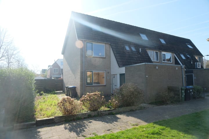 Foto 1 van Hoefblad 3