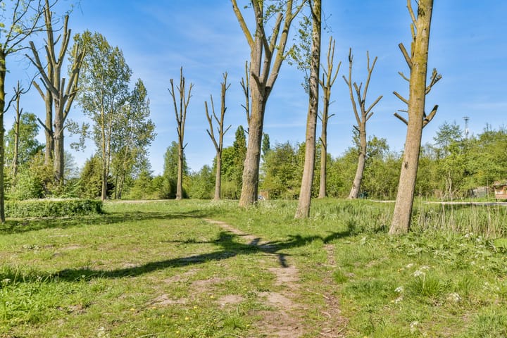 Foto 29 van Martin Luther Kinglaan 496