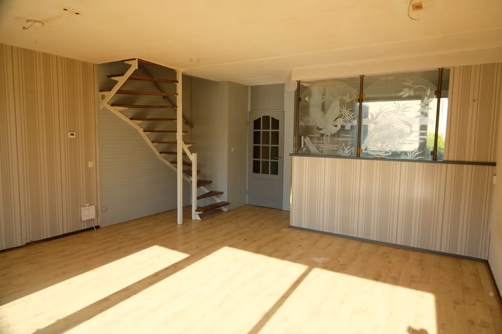 Foto 3 van Hoefblad 3