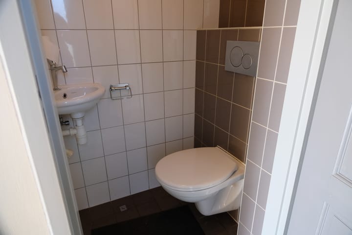 Foto 5 van Hoefblad 3