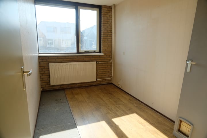 Foto 6 van Hoefblad 3