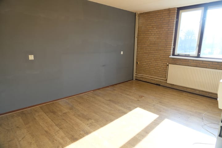 Foto 7 van Hoefblad 3