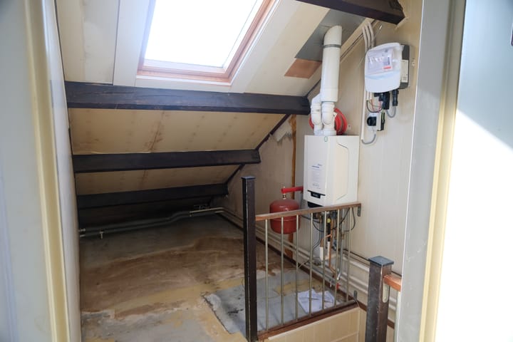 Foto 10 van Hoefblad 3