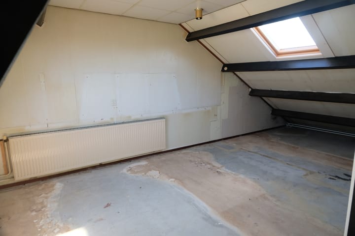 Foto 11 van Hoefblad 3