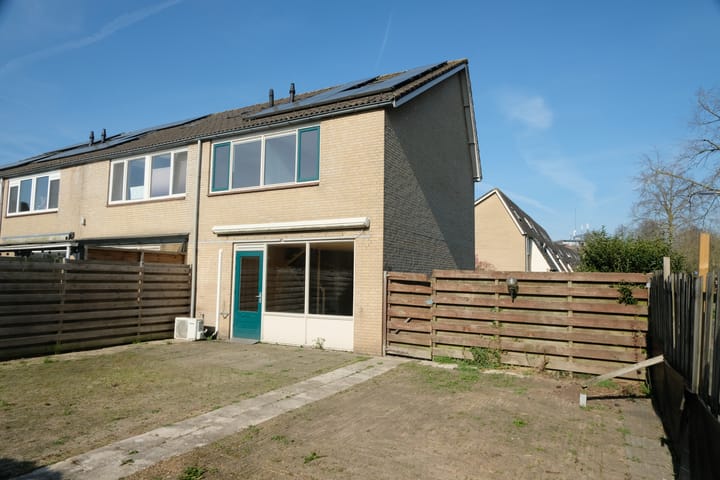 Foto 12 van Hoefblad 3