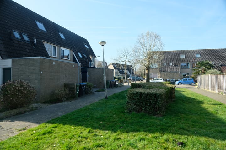 Foto 14 van Hoefblad 3