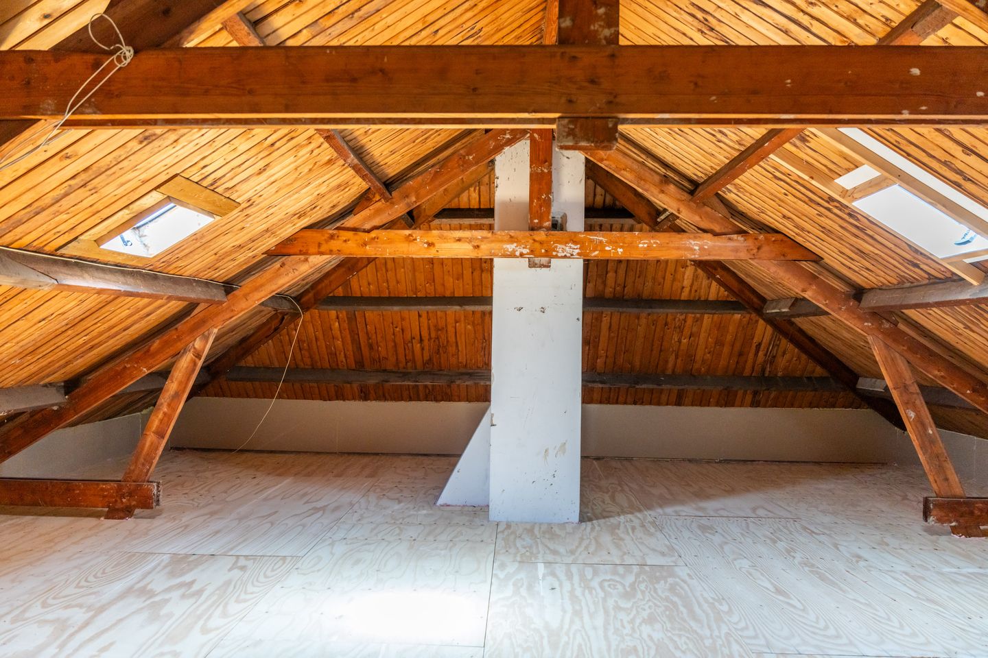 Foto 40 van Diependaalselaan 452