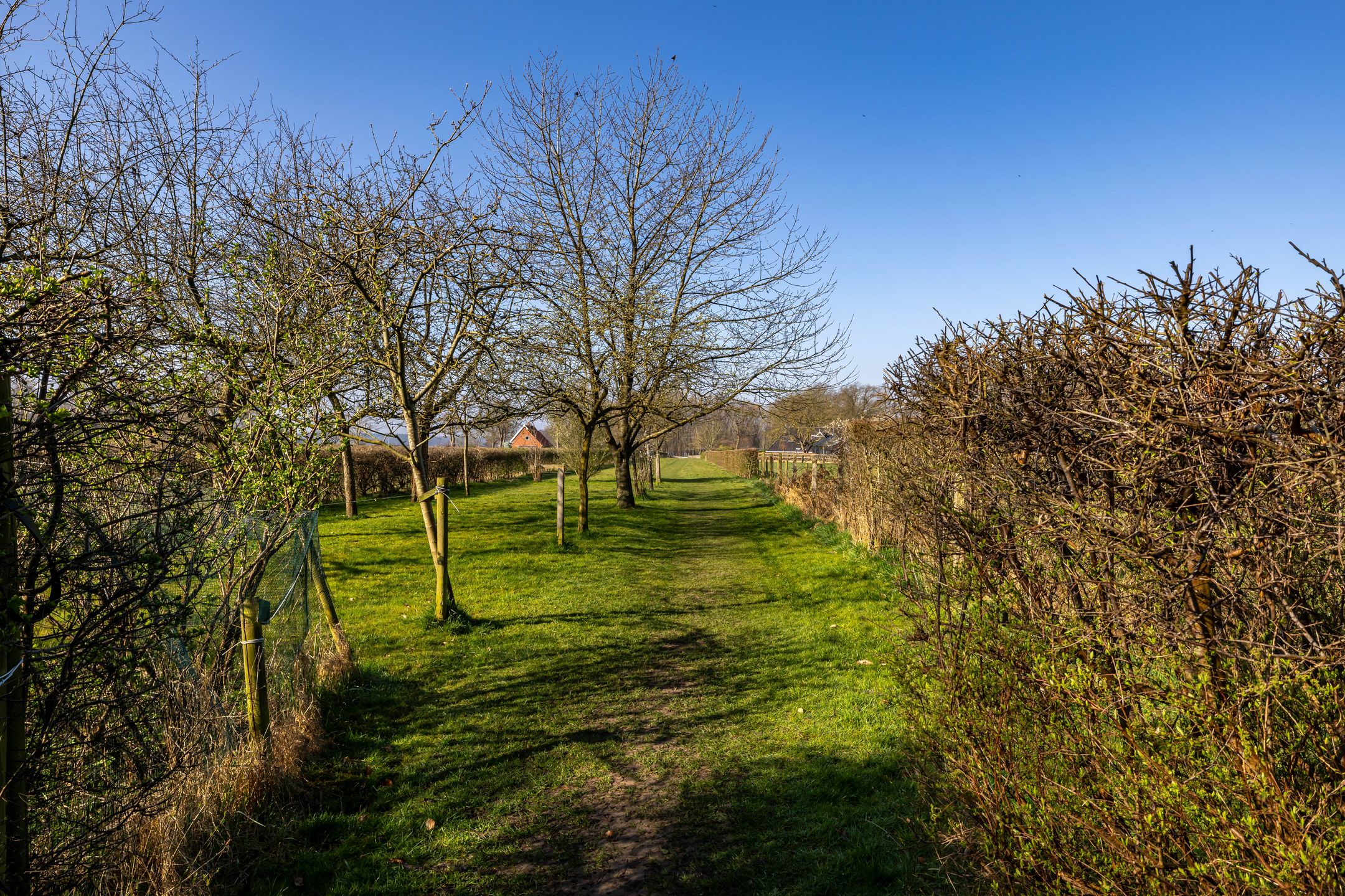 Foto 6 van Rijksstraatweg 333