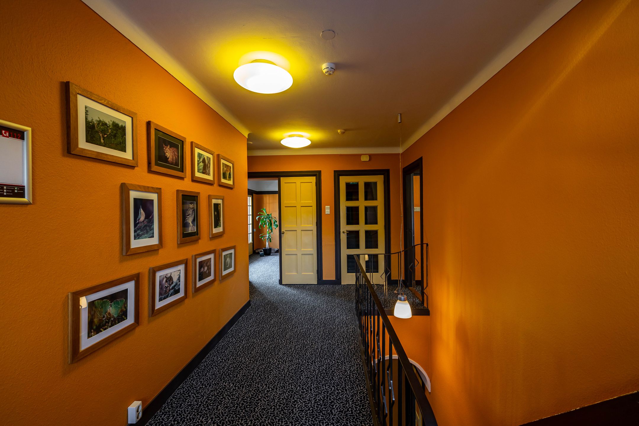 Foto 33 van Rijksstraatweg 333