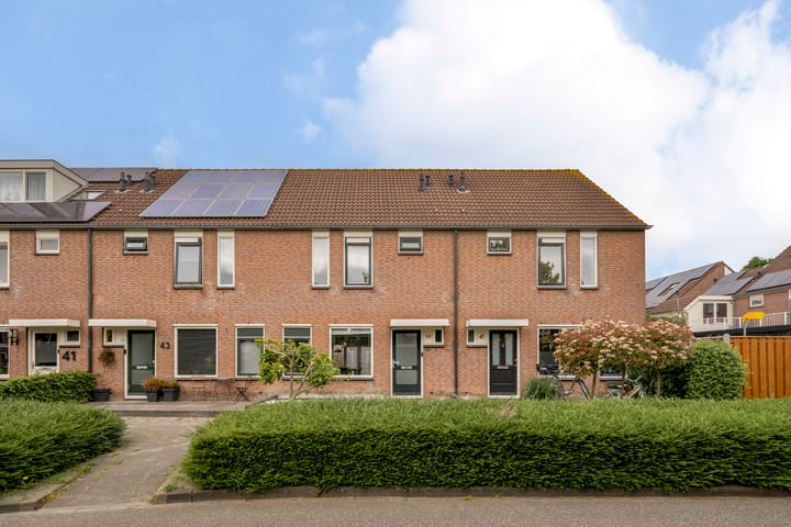 undefined main image