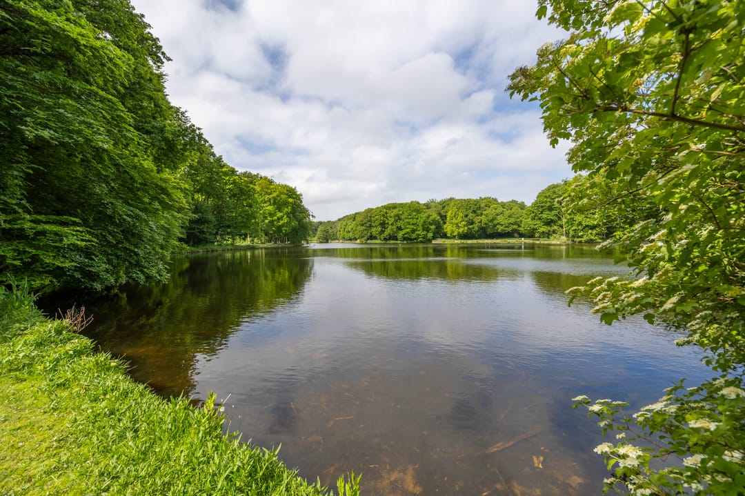 Foto 22 van Cornelis Houtmanstraat 91