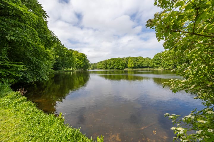 Foto 22 van Cornelis Houtmanstraat 91