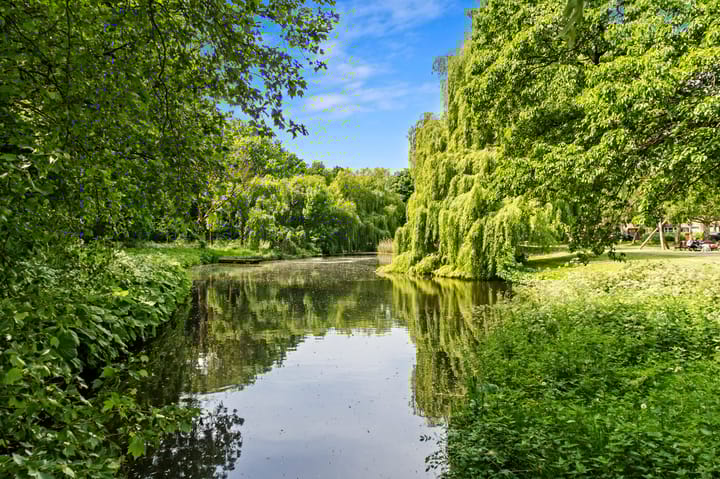 Photo 21 of Camera Obscurastraat 244