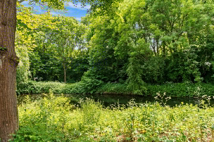 Photo 23 of Camera Obscurastraat 244