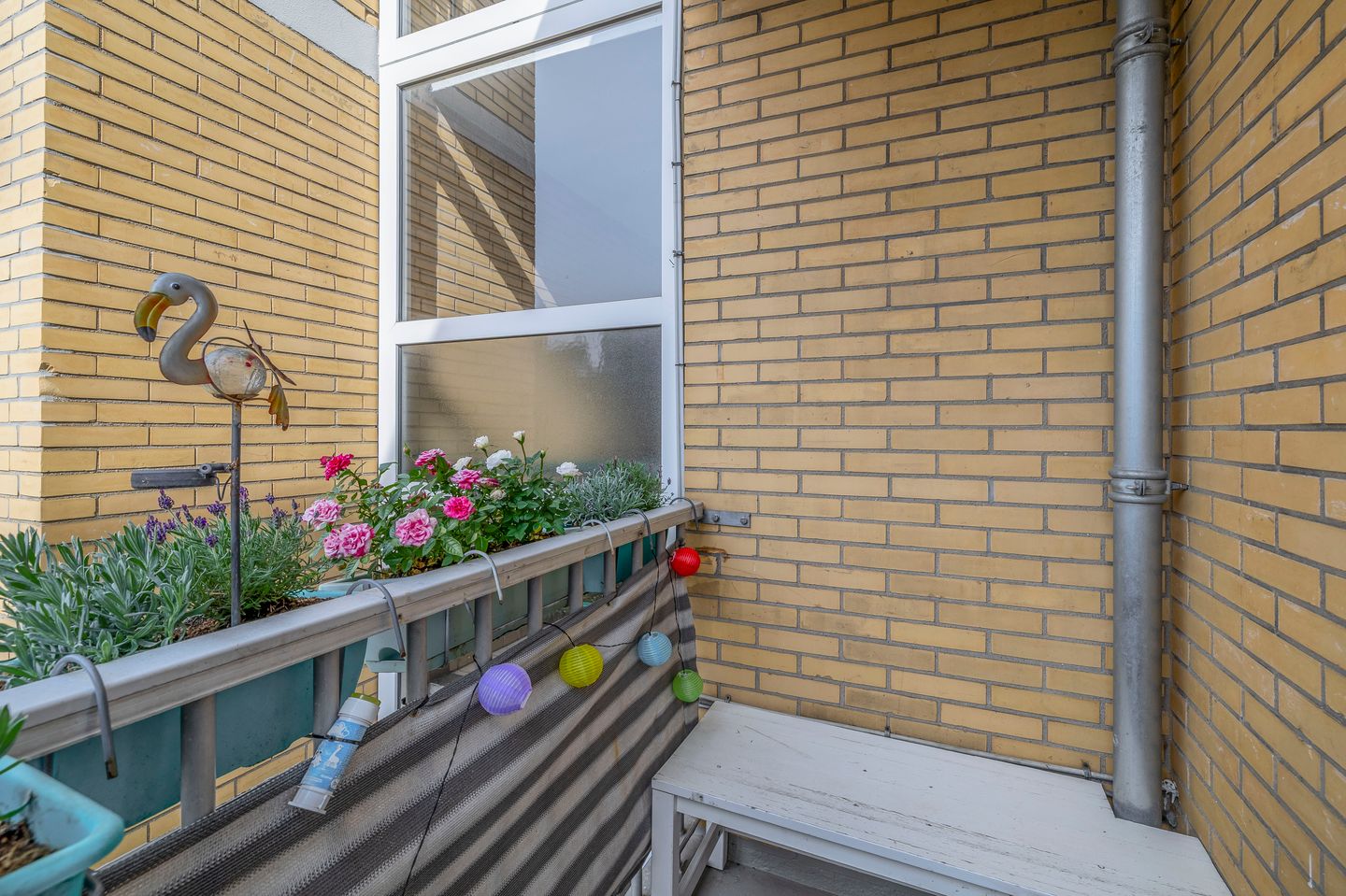 Foto 20 van Einsteinlaan 141