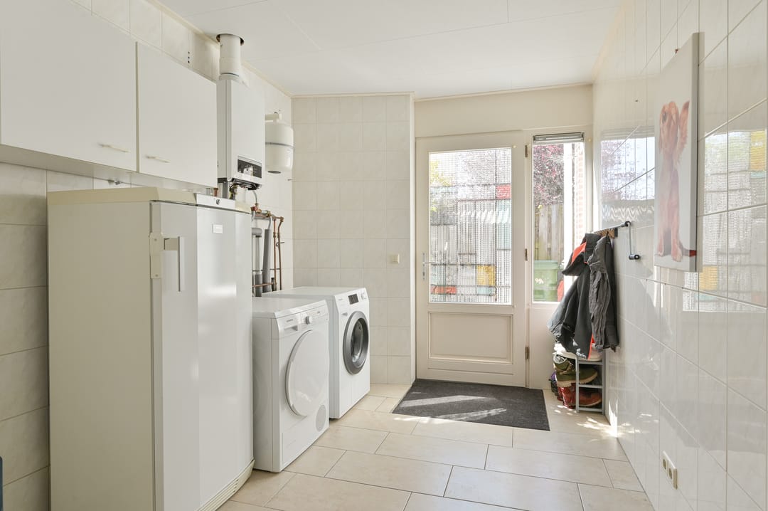 Foto 46 van Hoveniersland 64