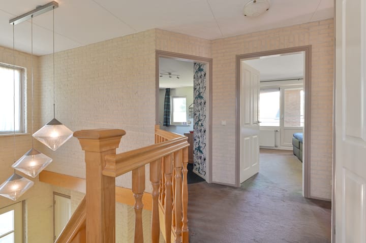 Foto 49 van Hoveniersland 64