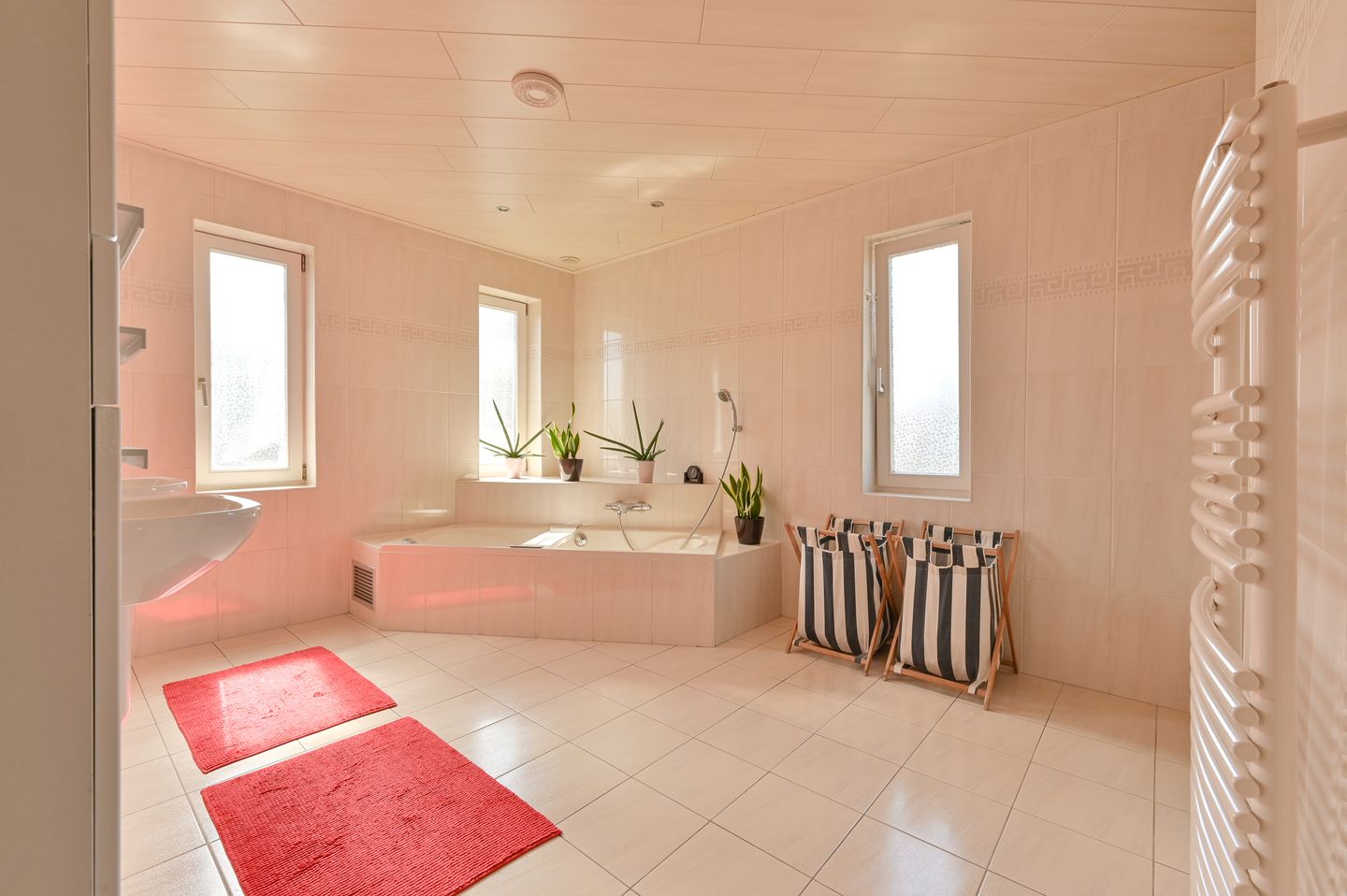 Foto 64 van Hoveniersland 64