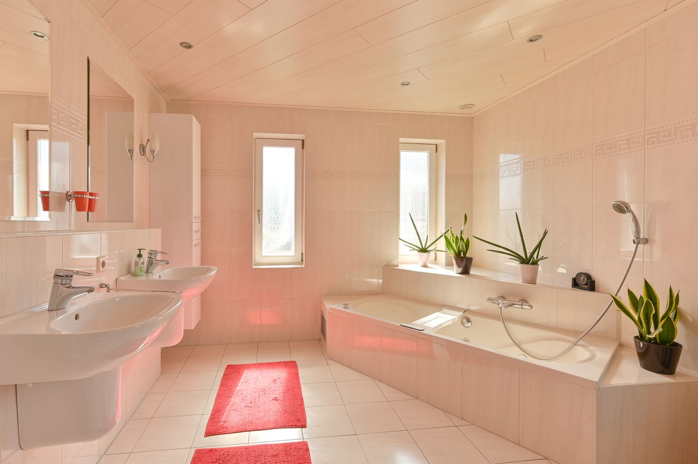 Foto 65 van Hoveniersland 64