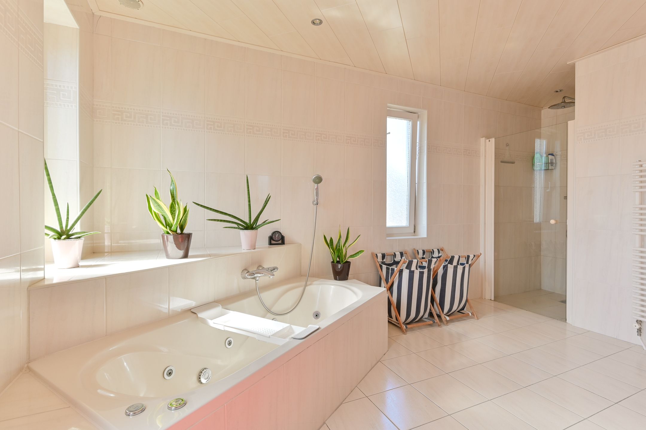 Foto 69 van Hoveniersland 64