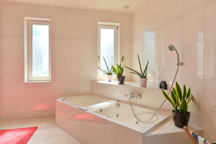 Foto 70 van Hoveniersland 64