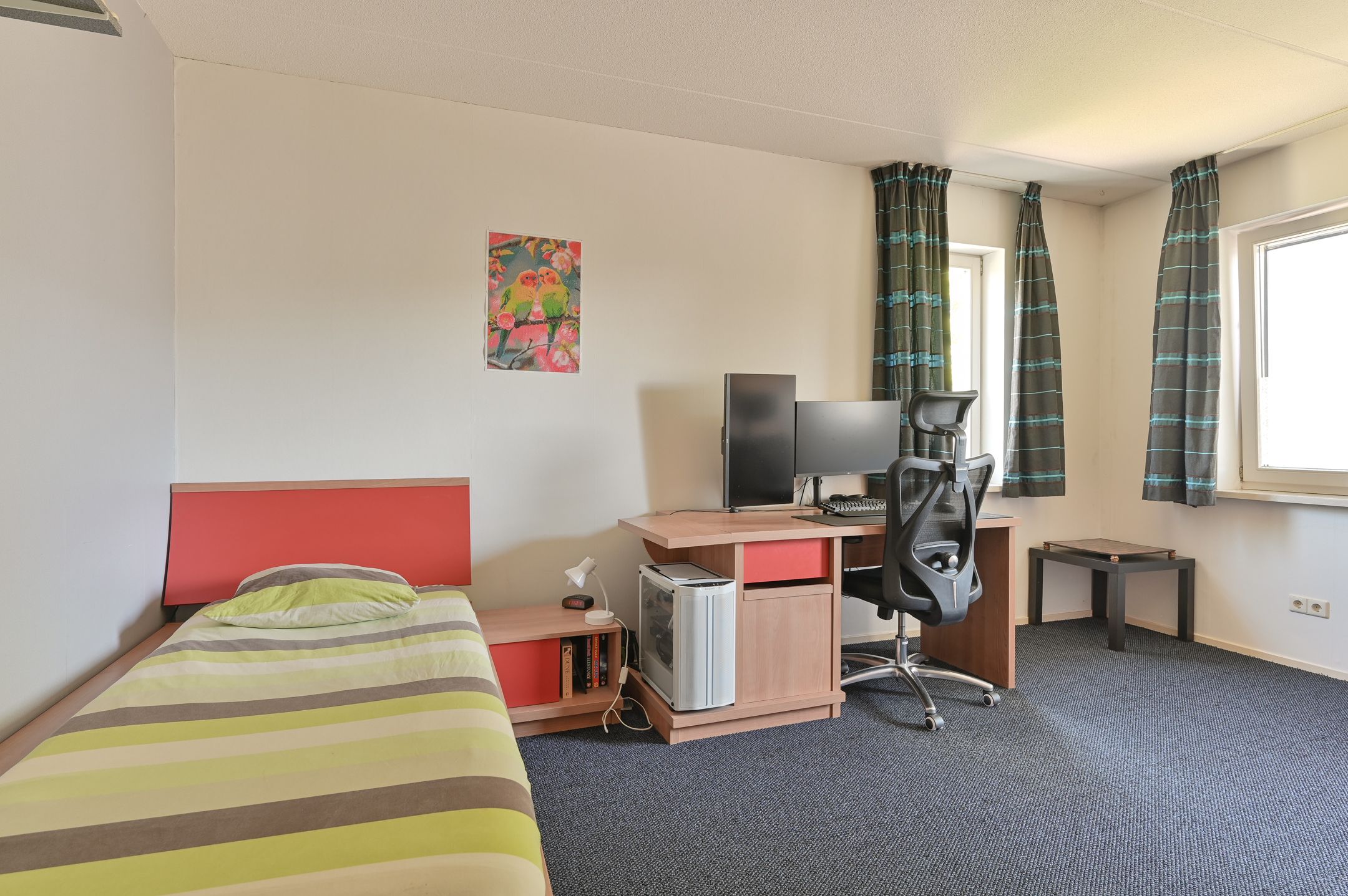 Foto 75 van Hoveniersland 64