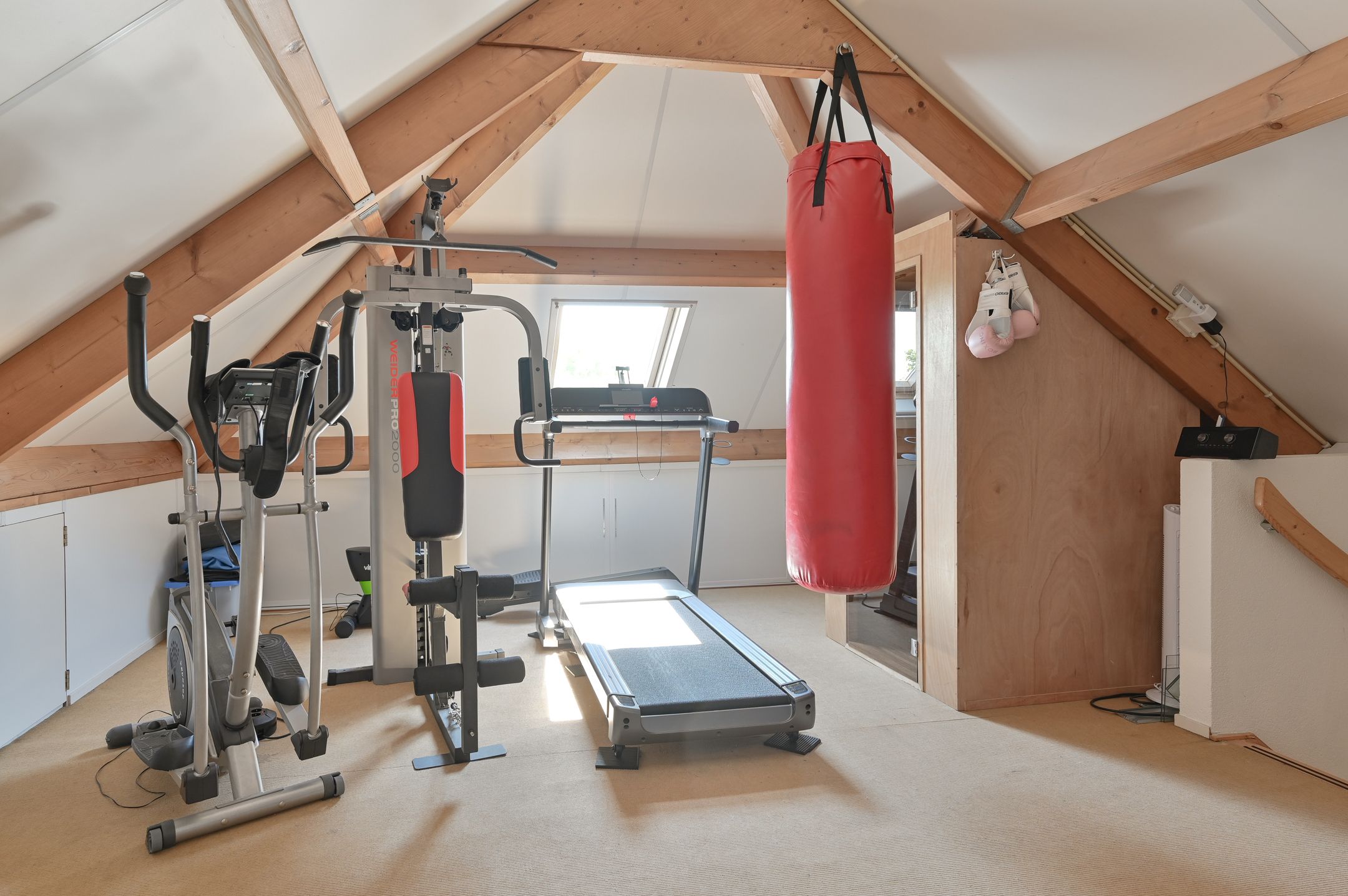 Foto 84 van Hoveniersland 64