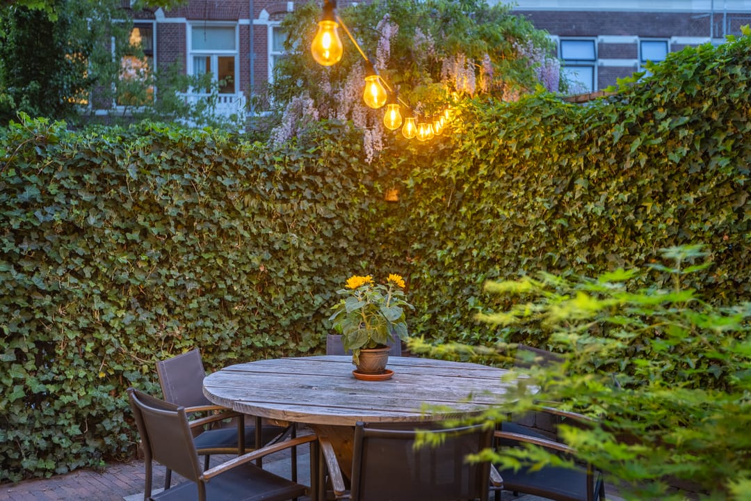 Foto 62 van Alexander Numankade 23-A