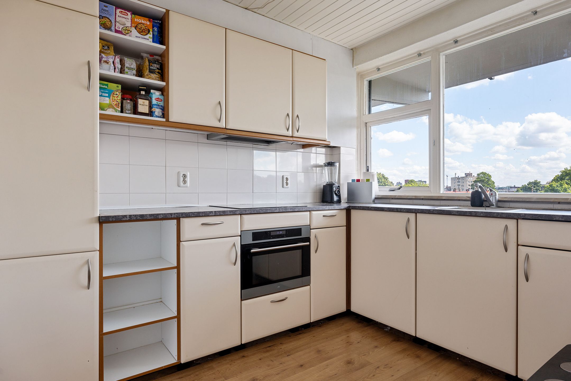 Foto 3 van Mr. P.J. Troelstralaan 295