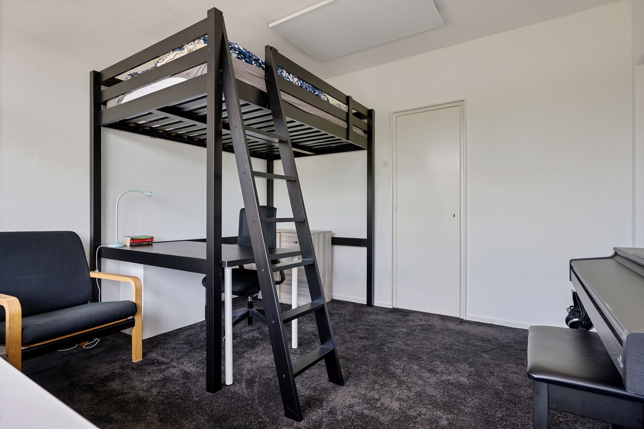 Foto 24 van Mr. P.J. Troelstralaan 295