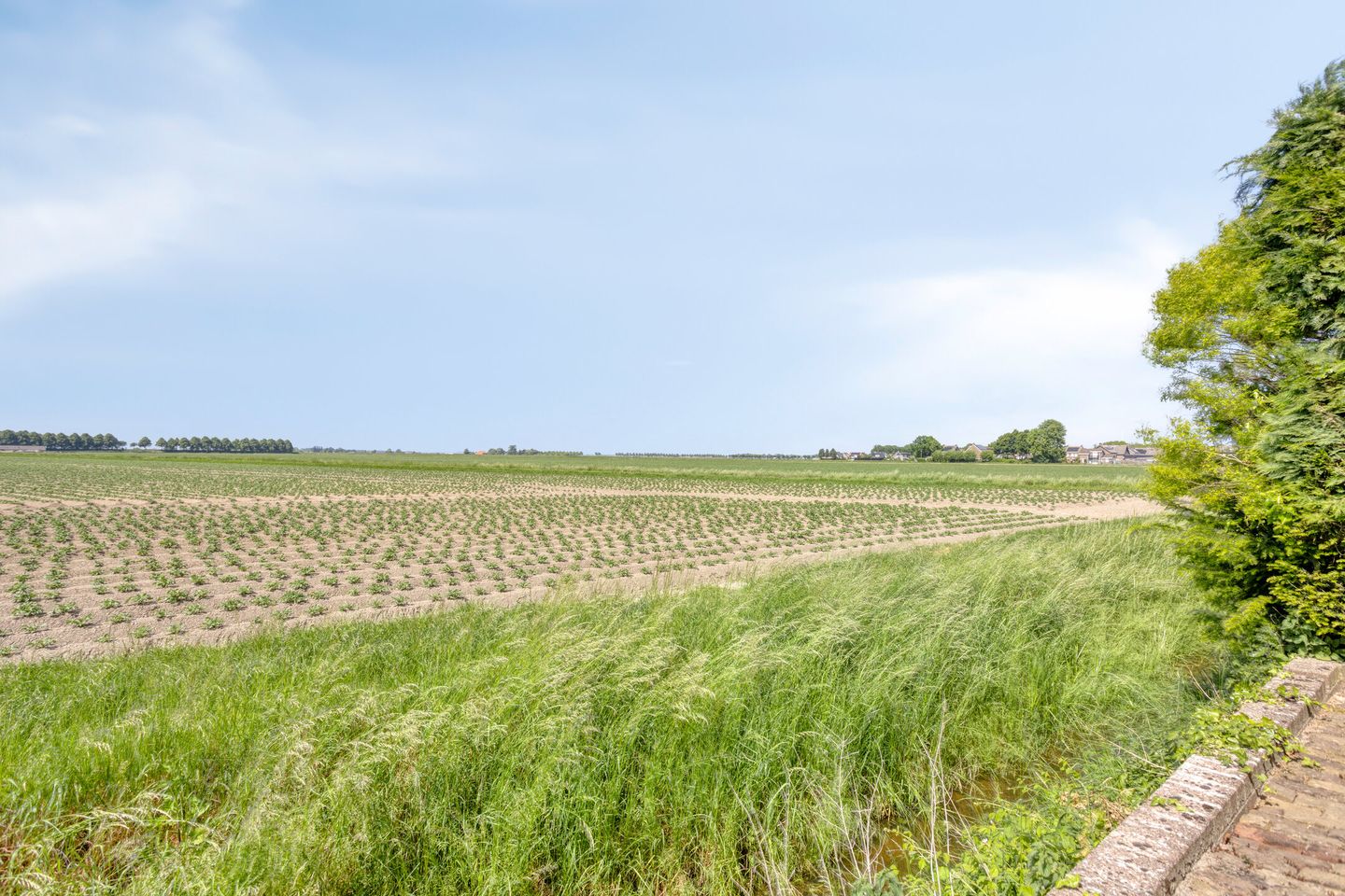 Foto 40 van Noordhoeksedijk 1