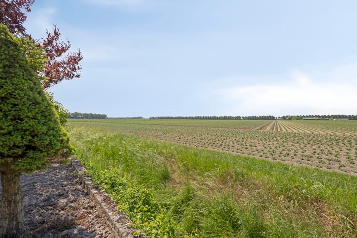 Foto 43 van Noordhoeksedijk 1