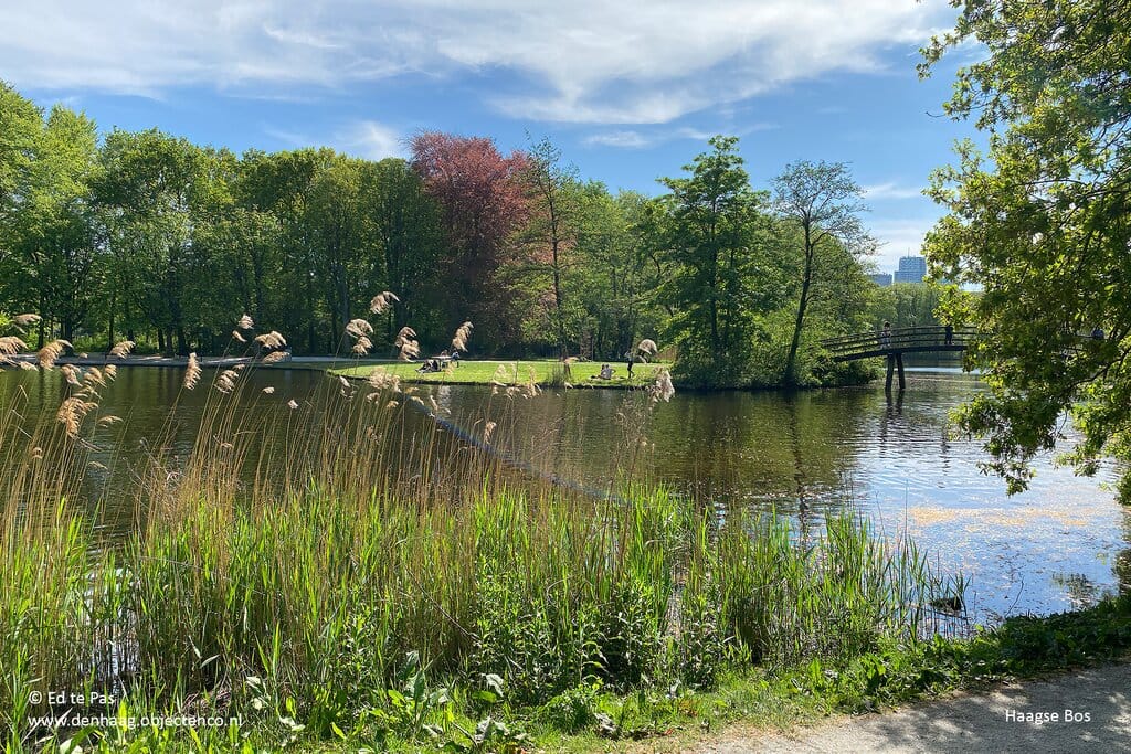 Foto 24 van De Sillestraat 25