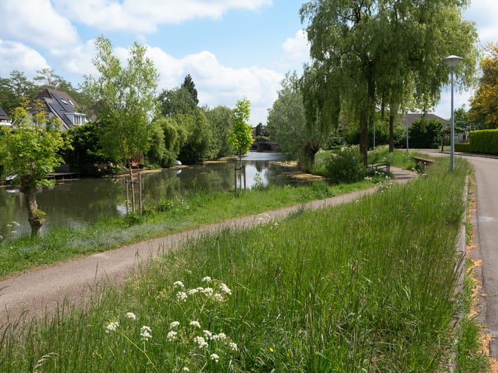 Photo 36 of Constantiuslaan 4