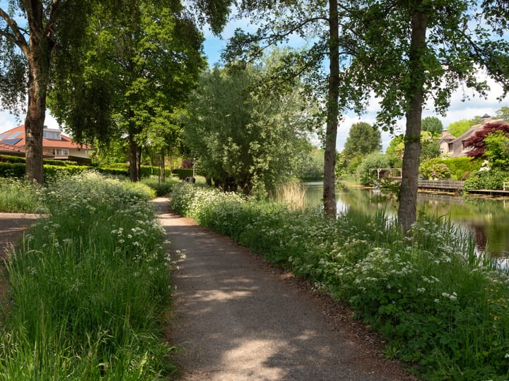 Photo 37 of Constantiuslaan 4