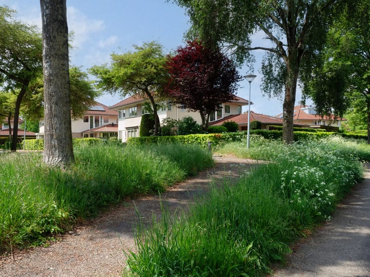 Photo 38 of Constantiuslaan 4