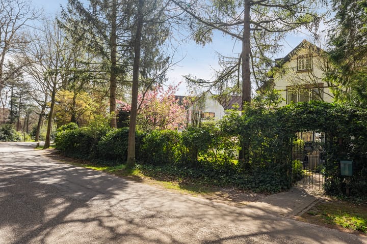 Foto 58 van Van Dijcklaan 17