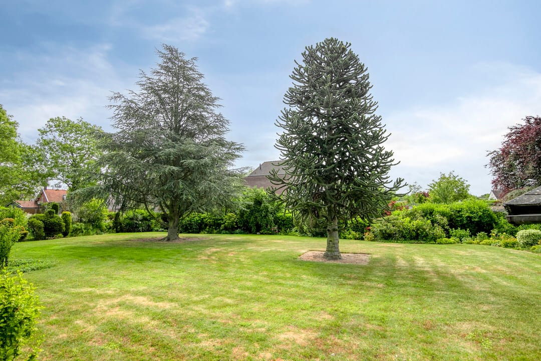 Foto 53 van 's-Gravenpolderseweg 13