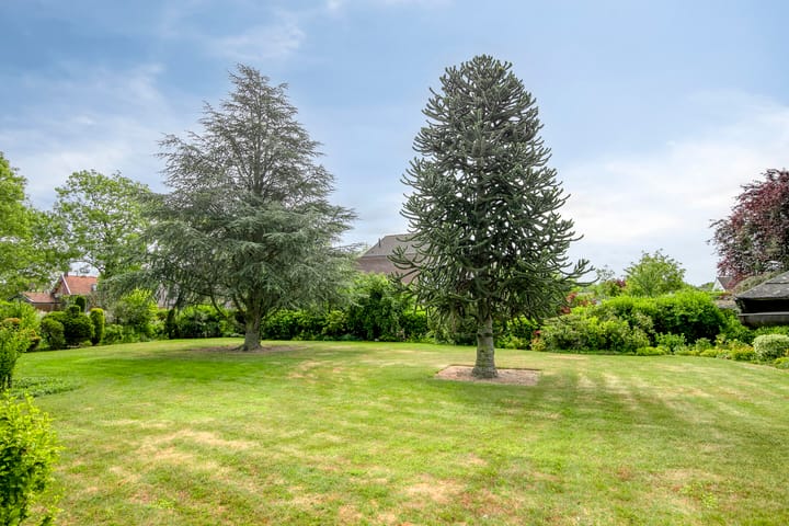 Foto 53 van 's-Gravenpolderseweg 13