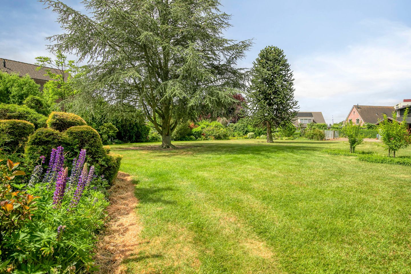 Foto 55 van 's-Gravenpolderseweg 13