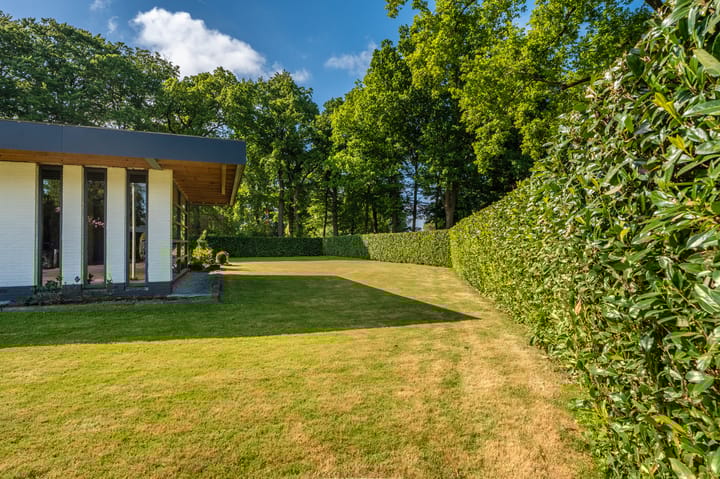 Foto 48 van Vossenkamp 8