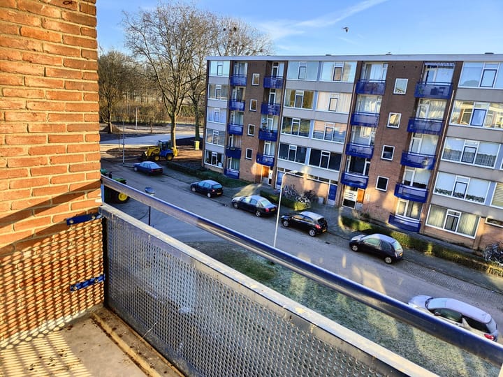 Foto 14 van Deltalaan 163